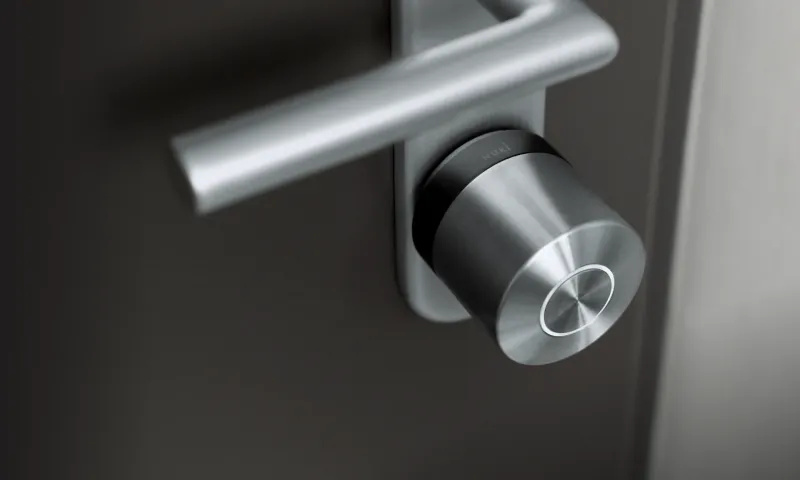 Smartlock mit Edelstahl-Knauf am Türzylinder einer dunklen Haustür mit Türdrücker