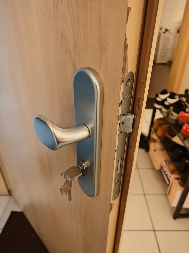Holztür mit Langschild-Türdrücker und Profilzylinder, im Schloss steckt ein Schlüssel